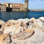 Dans Le Quartier Recherche Du Moure * Collioure