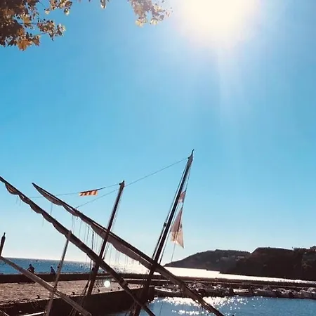 Dans Le Quartier Recherche Du Moure * Collioure