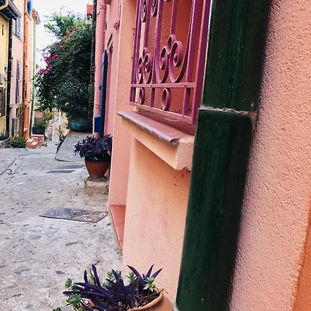 Apartment Dans Le Quartier Recherche Du Moure